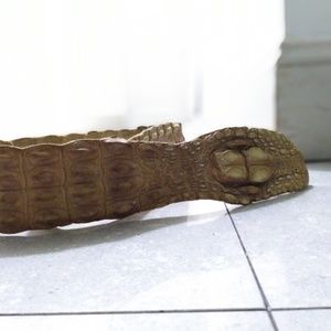 Roberto Cavalli alligator skin vintage belt 40